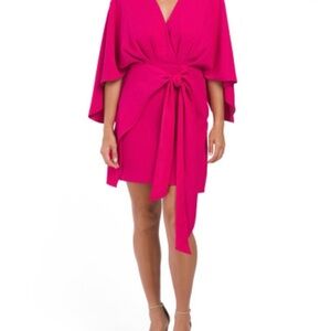 NWT Alexia Admore cherry red dress, size 2